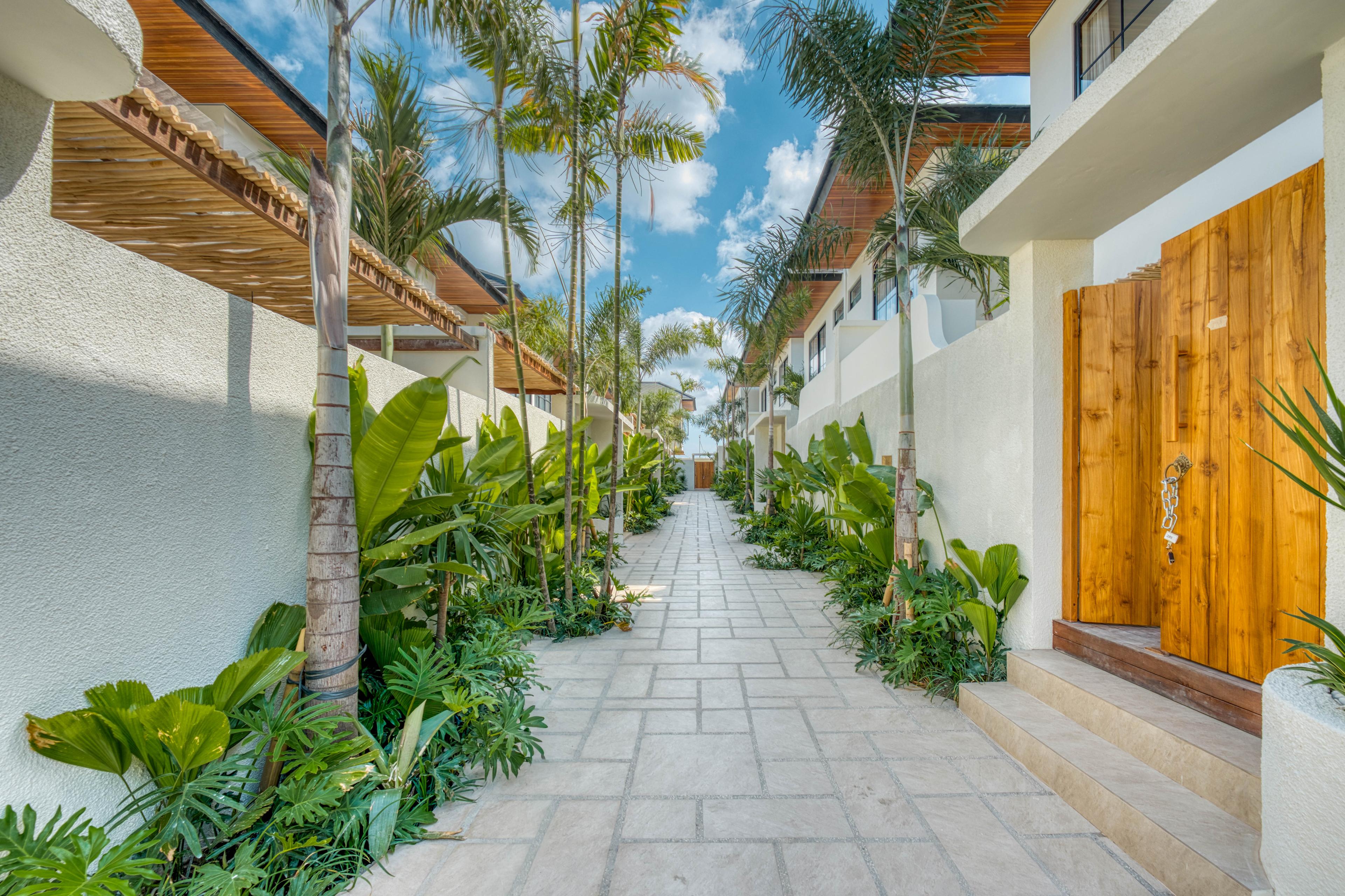 Anjuna Palms